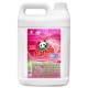 PANDA SOFT